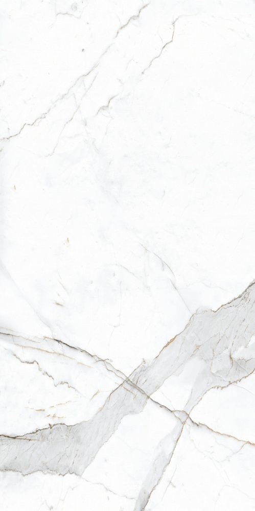 NR201 керамогранит Dario Matt 600*1200 