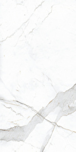 NR201 керамогранит Dario Matt 600*1200 