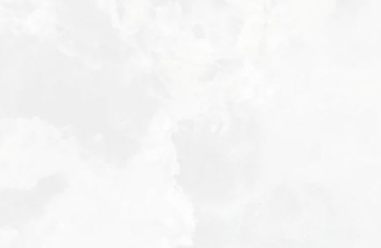 PR239 керамогранит Glitter Onyx White 600*1200 
