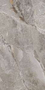 PR209 керамогранит Essence Grey Polished 600*1200 