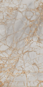 PR212 керамогранит Golden Grey Polished 600*1200 