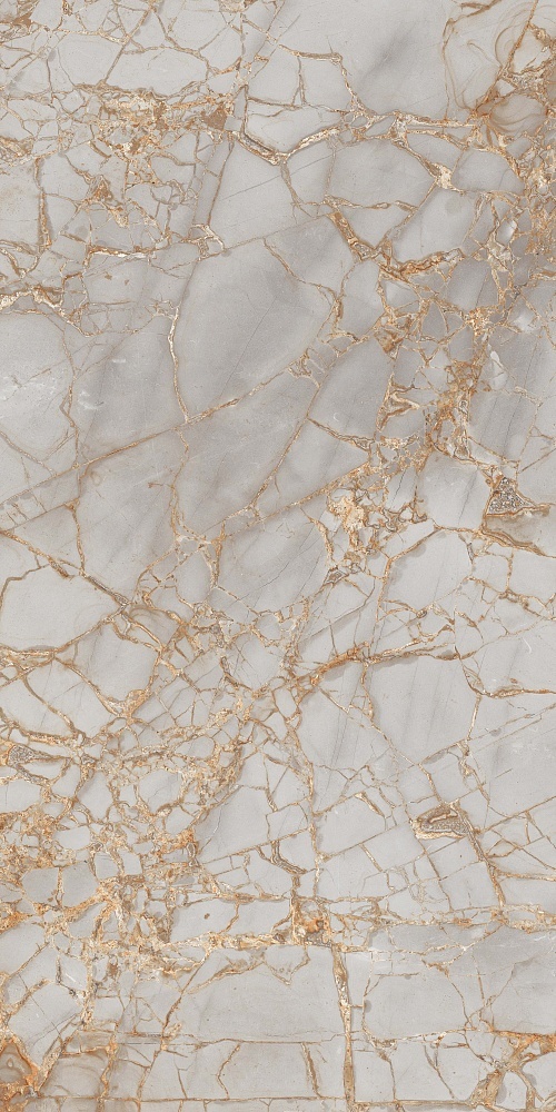 PR212 керамогранит Golden Grey Polished 600*1200 